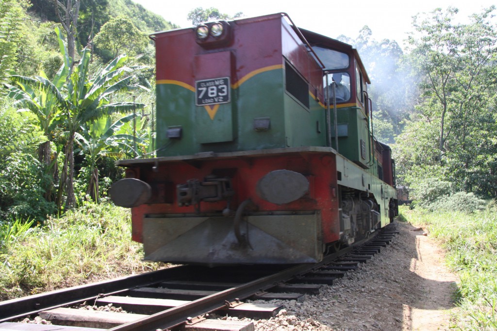 Beliebtes Transportmittel in Sri Lanka - Der Zug