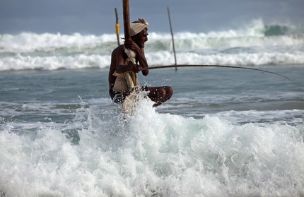 Traditioneller Stelzenfischer in Sri Lanka