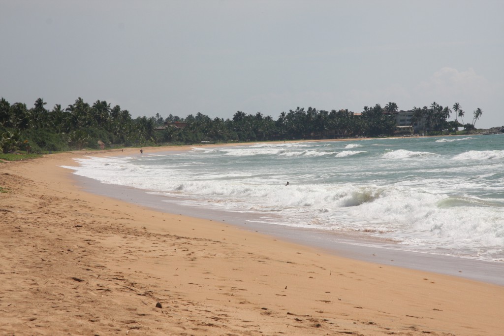 Der einsame Strand von Mirissa