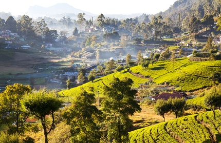 Traumhafte Landschaft im Gebiet um Nuwara Eliya